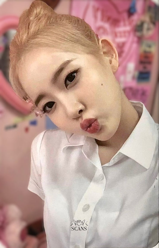 Sieun Stereotype Special Ver Kpop Kardz
