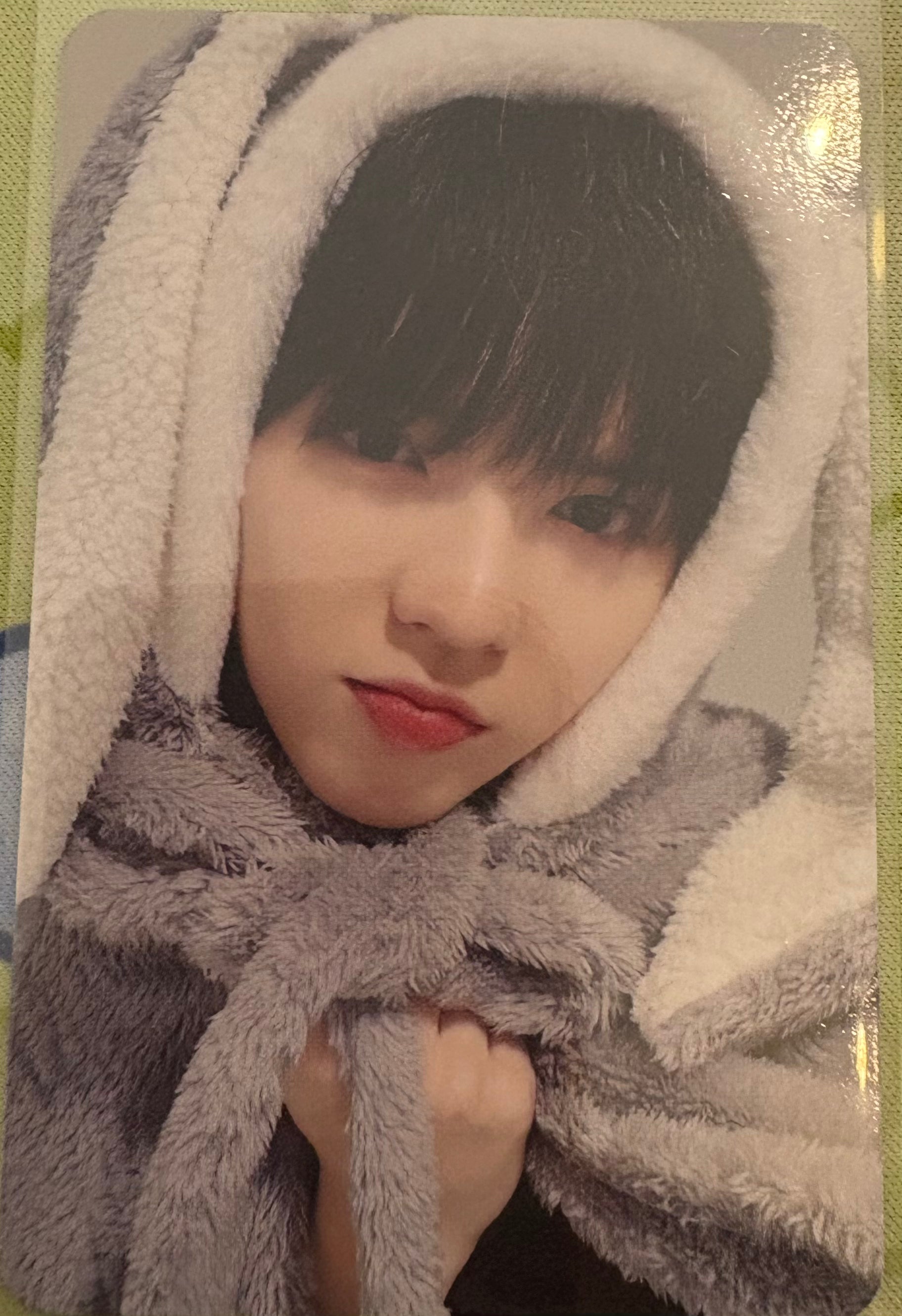 Brian Makestar POB Kpop Kardz