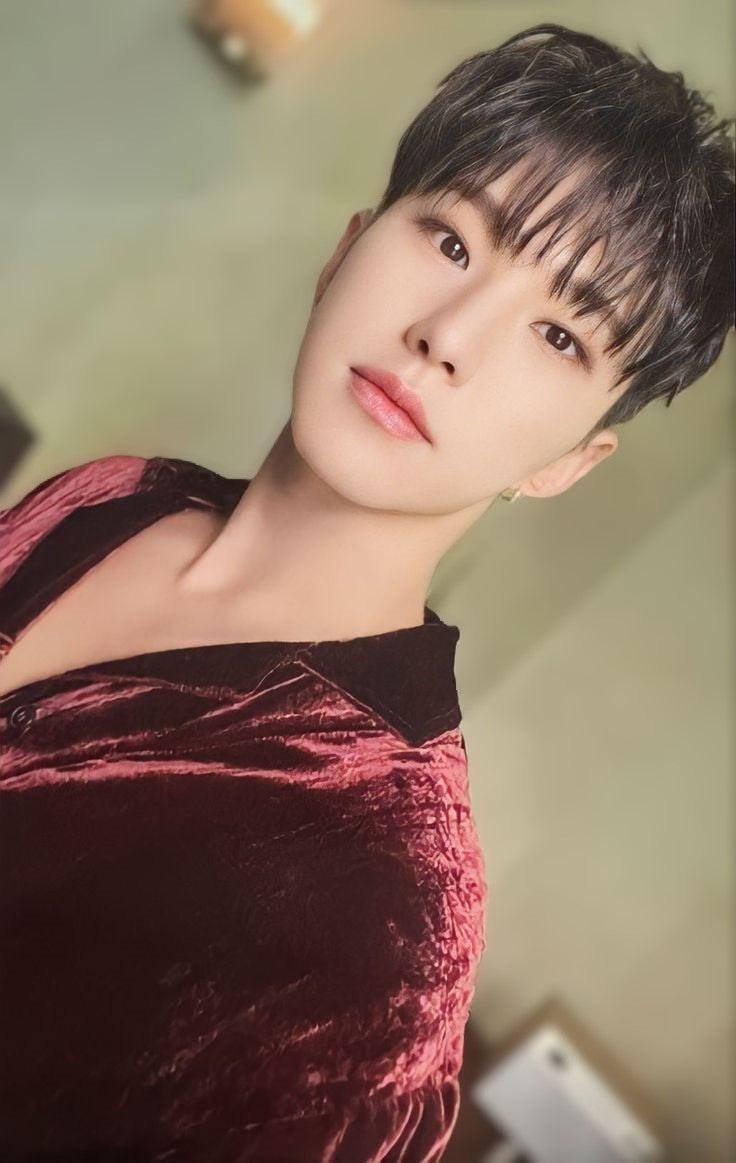 Hoshi FML Fallen, Mist, Lost Ver 1