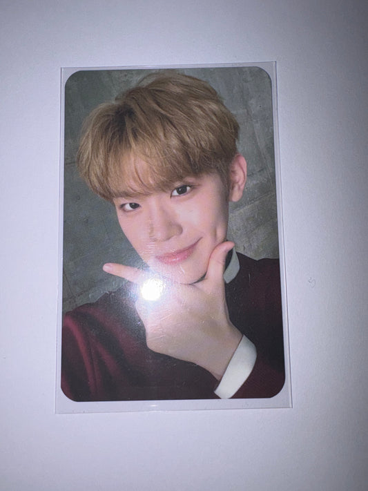 Taerae Skoolooks Card Kpop Kardz