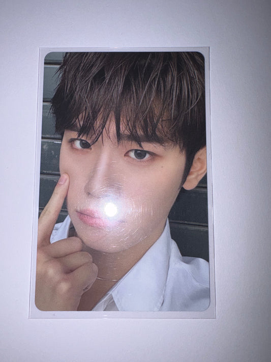 Taerae You Had Me At Hello Album Card Kpop Kardz