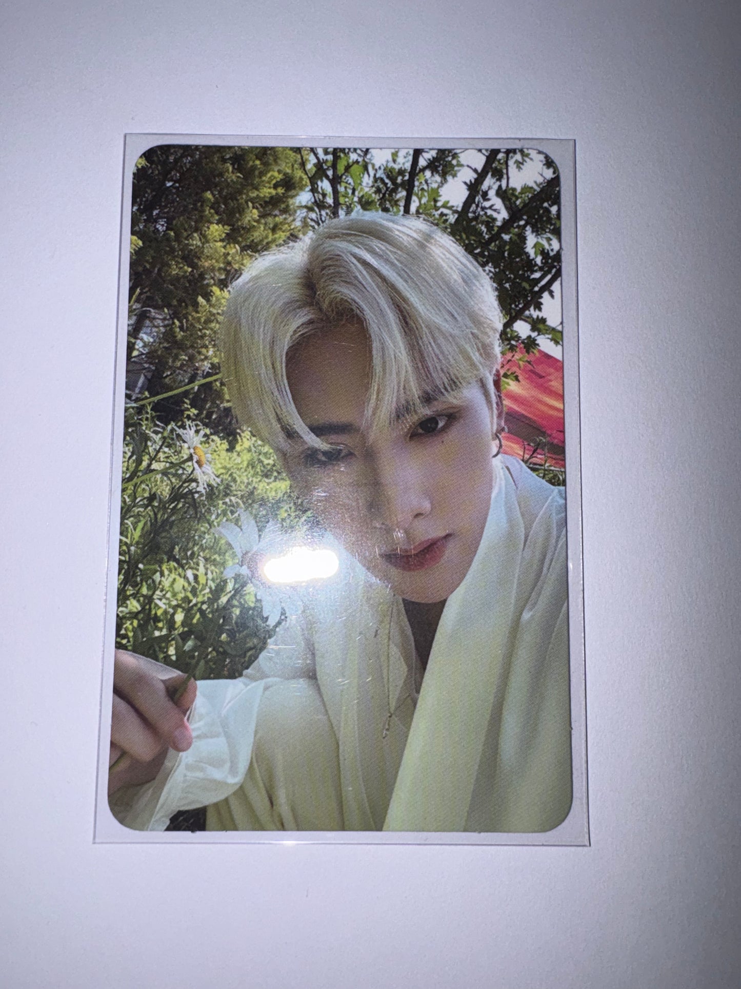 Ricky Youth In The Shade Album Card