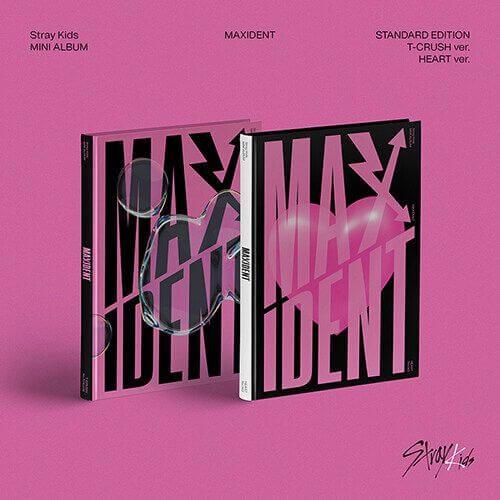 STRAYKIDS MAXIDENT Standard Album (VERSION CHOICE)